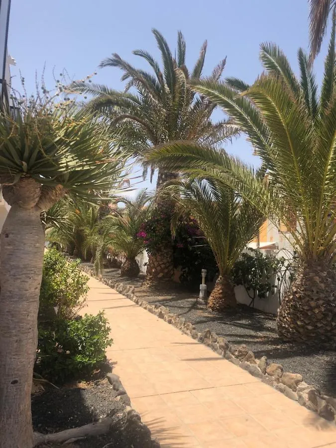 Apartamento Paradise Amaya Costa De Antigua Spain